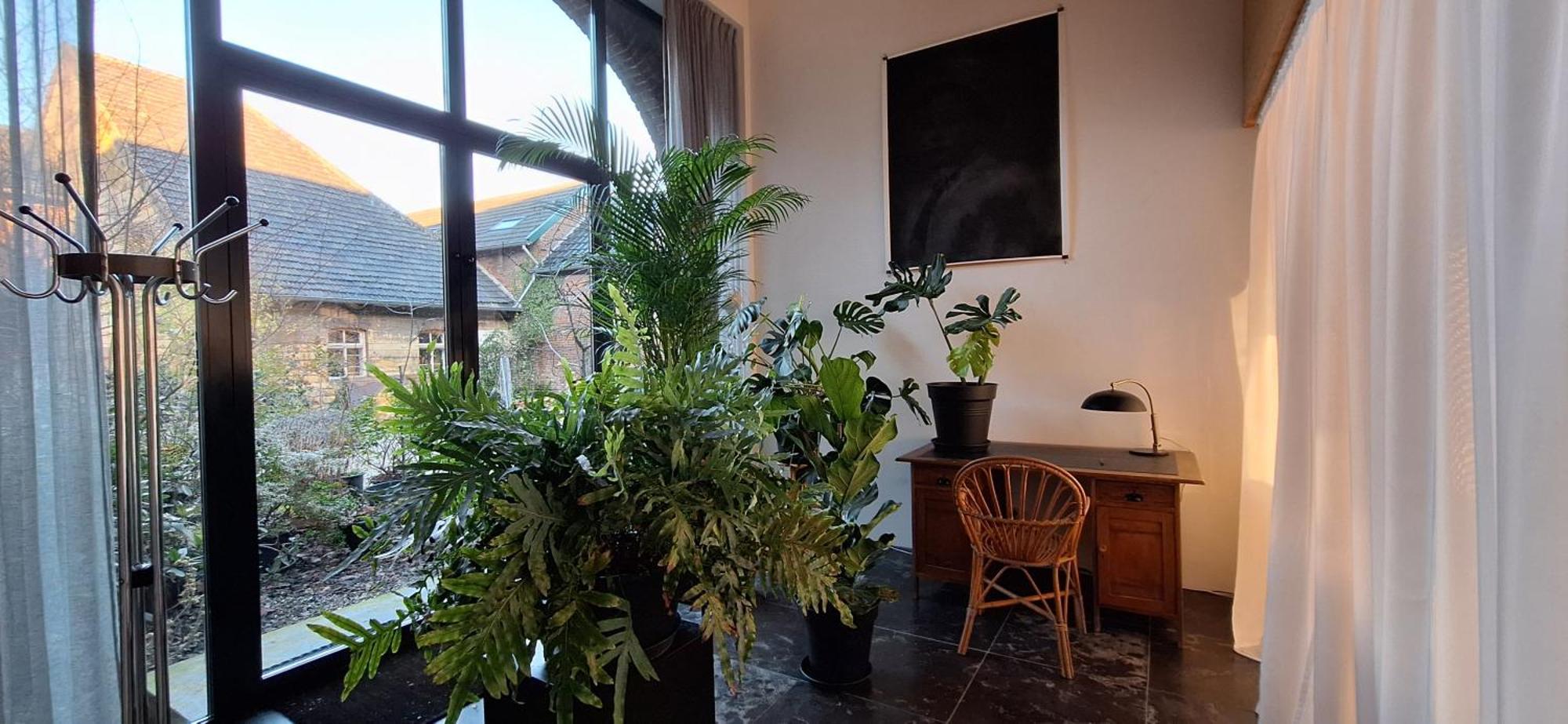 B&B Het Wolfshuis Bemelen Esterno foto